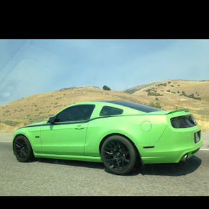 Meet your Posher, Nikki